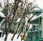 Whistler Apartment 8 (Glacier) - Studio Apartment